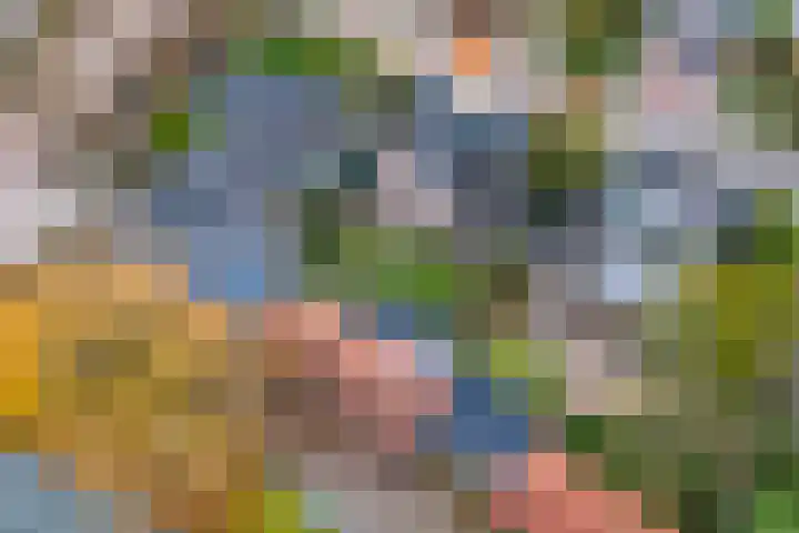 Emmalaan 32 Geldermalsen thumbnail 77