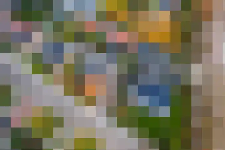 Emmalaan 32 Geldermalsen thumbnail 78