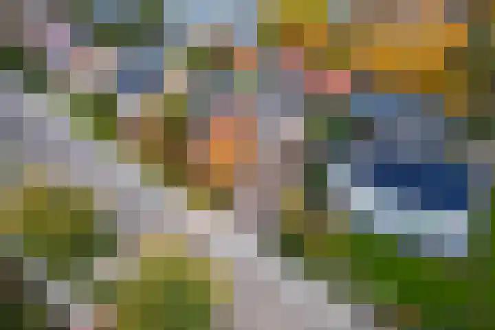 Emmalaan 32 Geldermalsen thumbnail 79