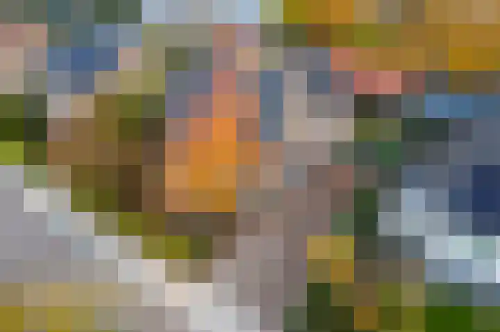 Emmalaan 32 Geldermalsen thumbnail 81