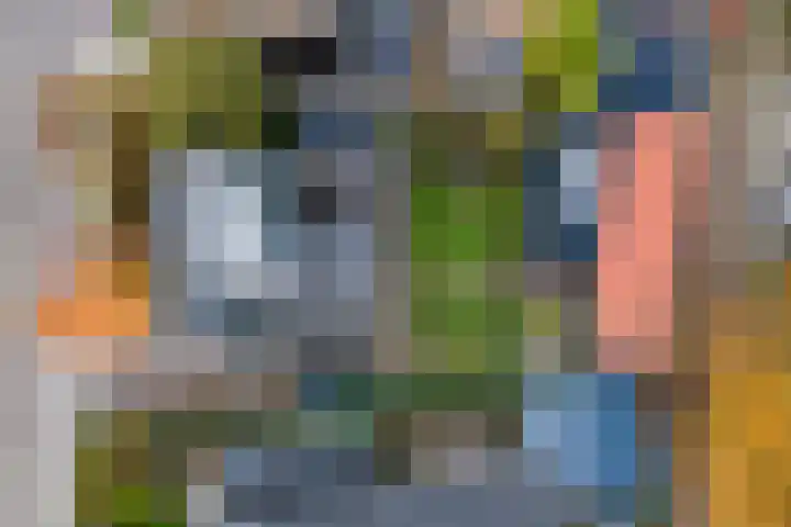 Emmalaan 32 Geldermalsen thumbnail 82
