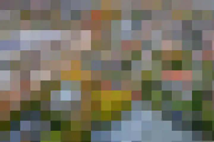 Emmalaan 32 Geldermalsen thumbnail 84
