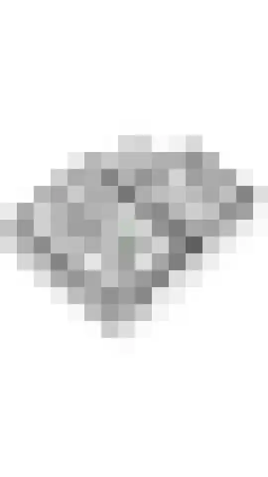 Emmalaan 32 Geldermalsen thumbnail 88