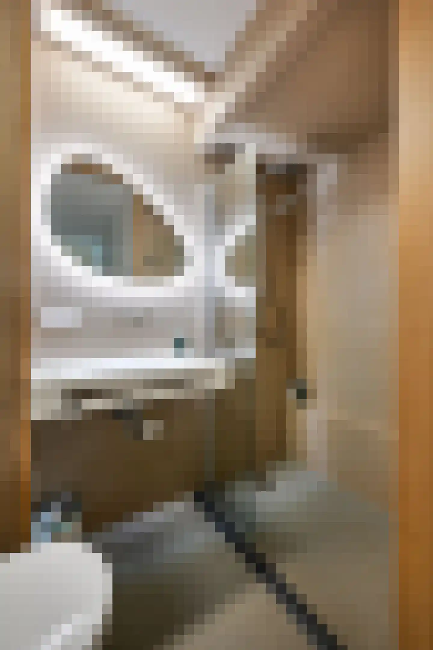Emmalaan 33 Haarlem thumbnail 16