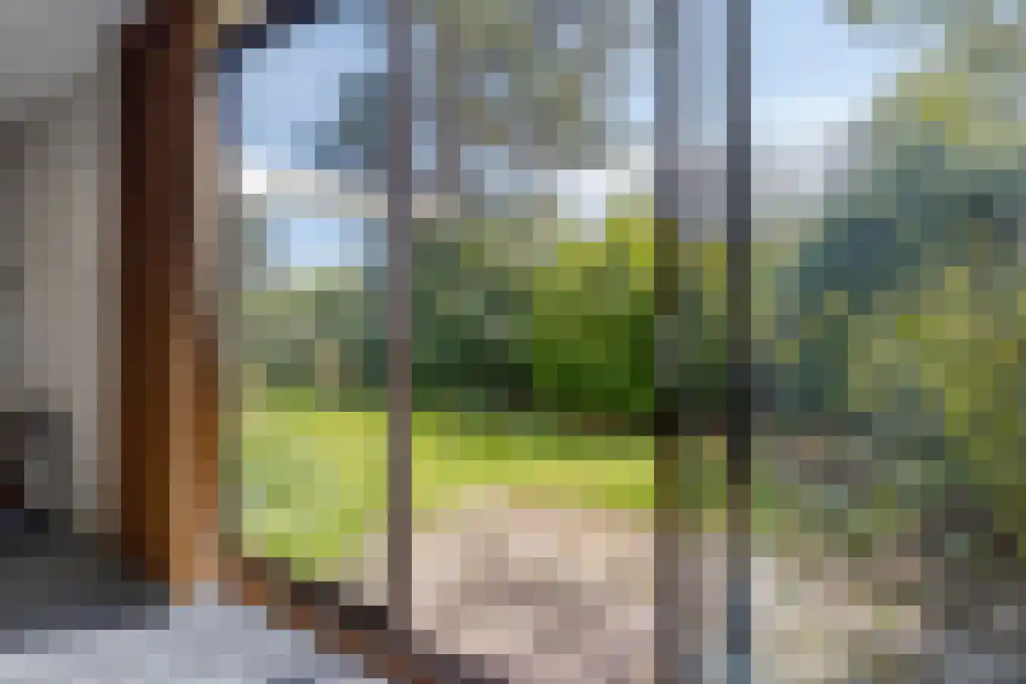 Emmalaan 34 Bergen (NH) thumbnail 11