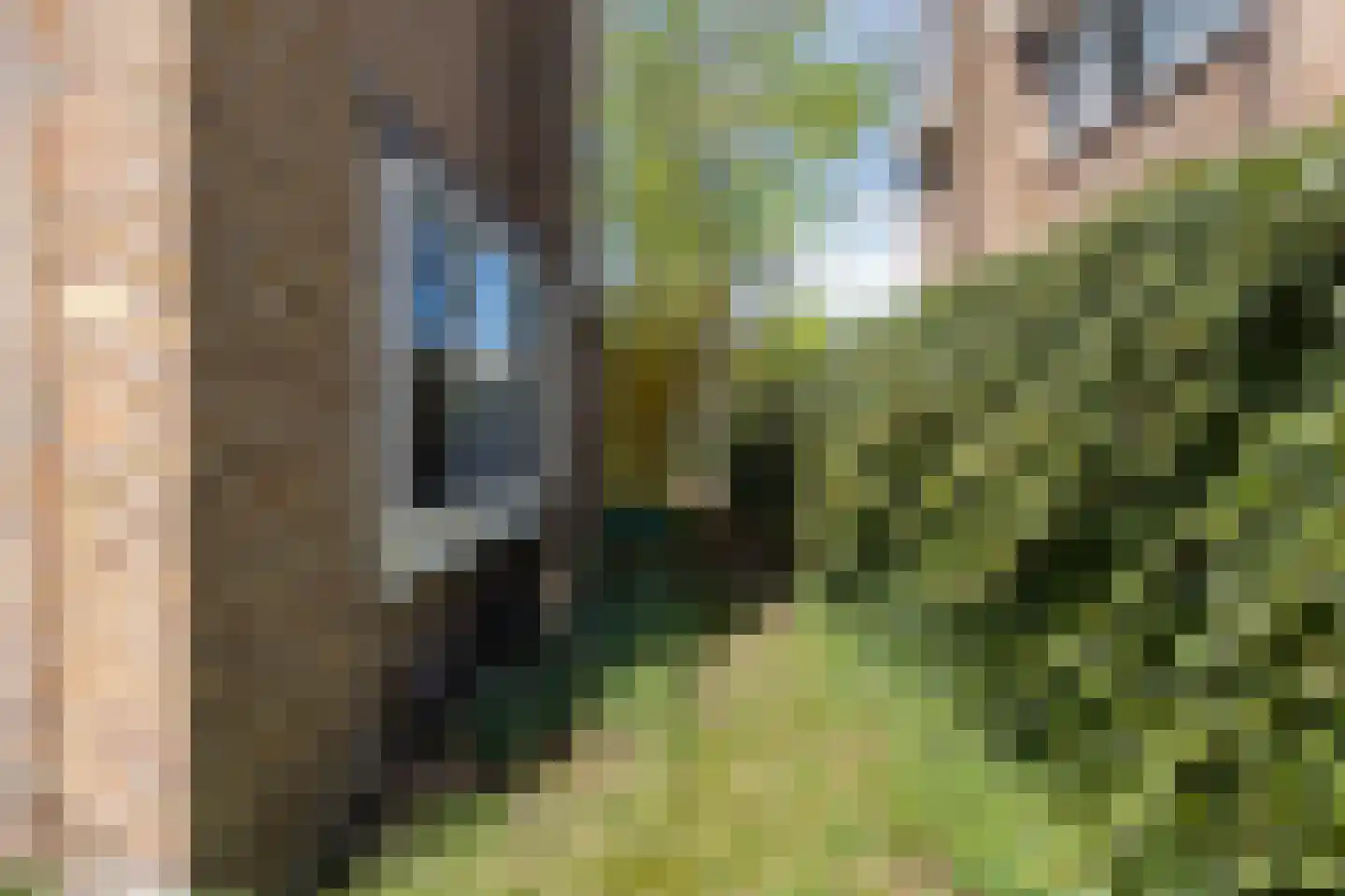 Emmalaan 34 Bergen (NH) thumbnail 33