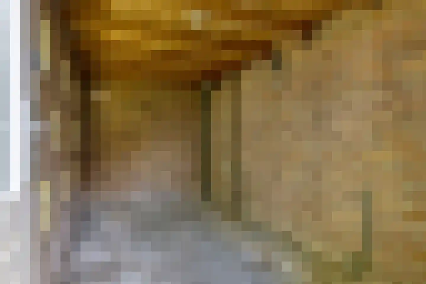 Emmalaan 34 Bergen (NH) thumbnail 34