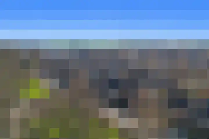 Emmalaan 34 Woubrugge thumbnail 39