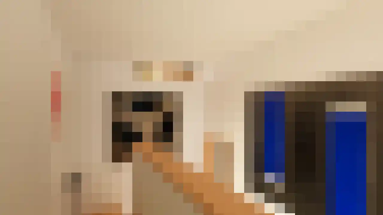 Emmalaan 37 Haarlem thumbnail 16