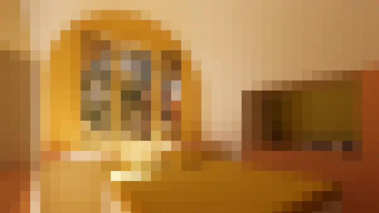 Emmalaan 37 Haarlem thumbnail 20