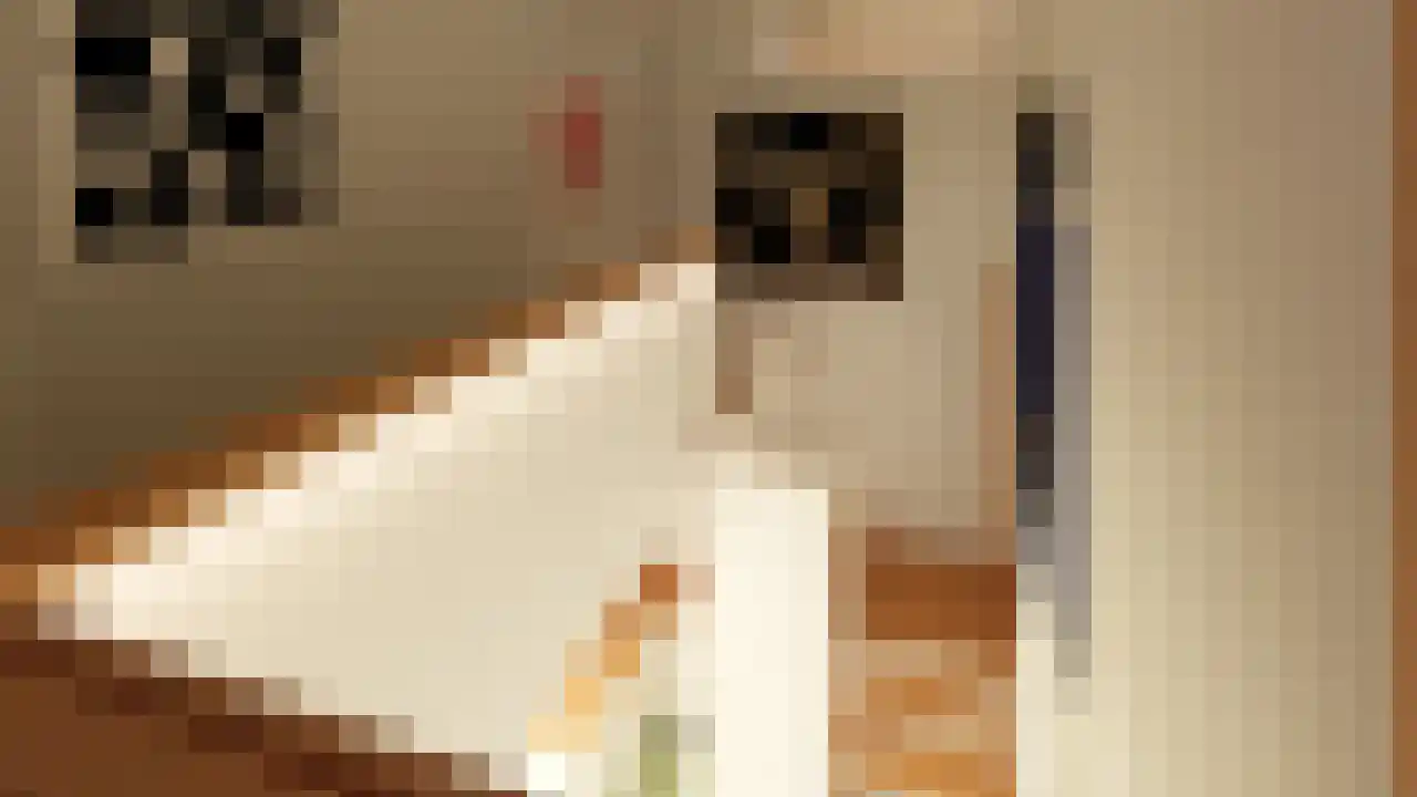 Emmalaan 37 Haarlem thumbnail 28