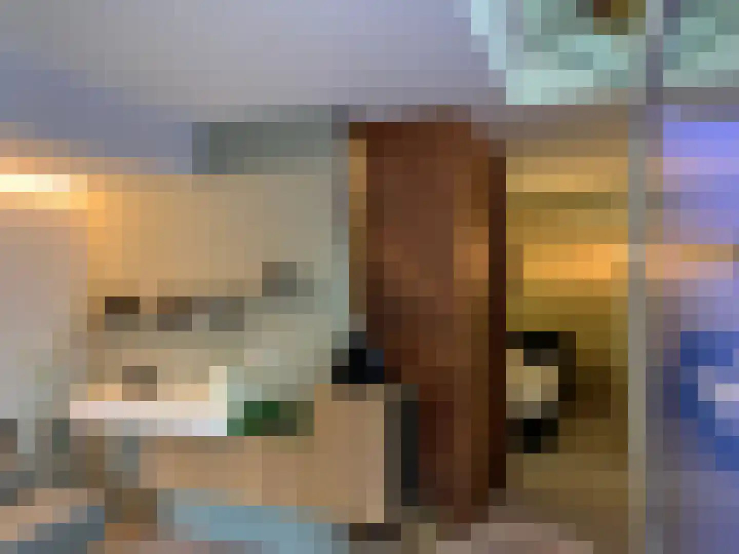 Emmalaan 37 Haarlem thumbnail 32