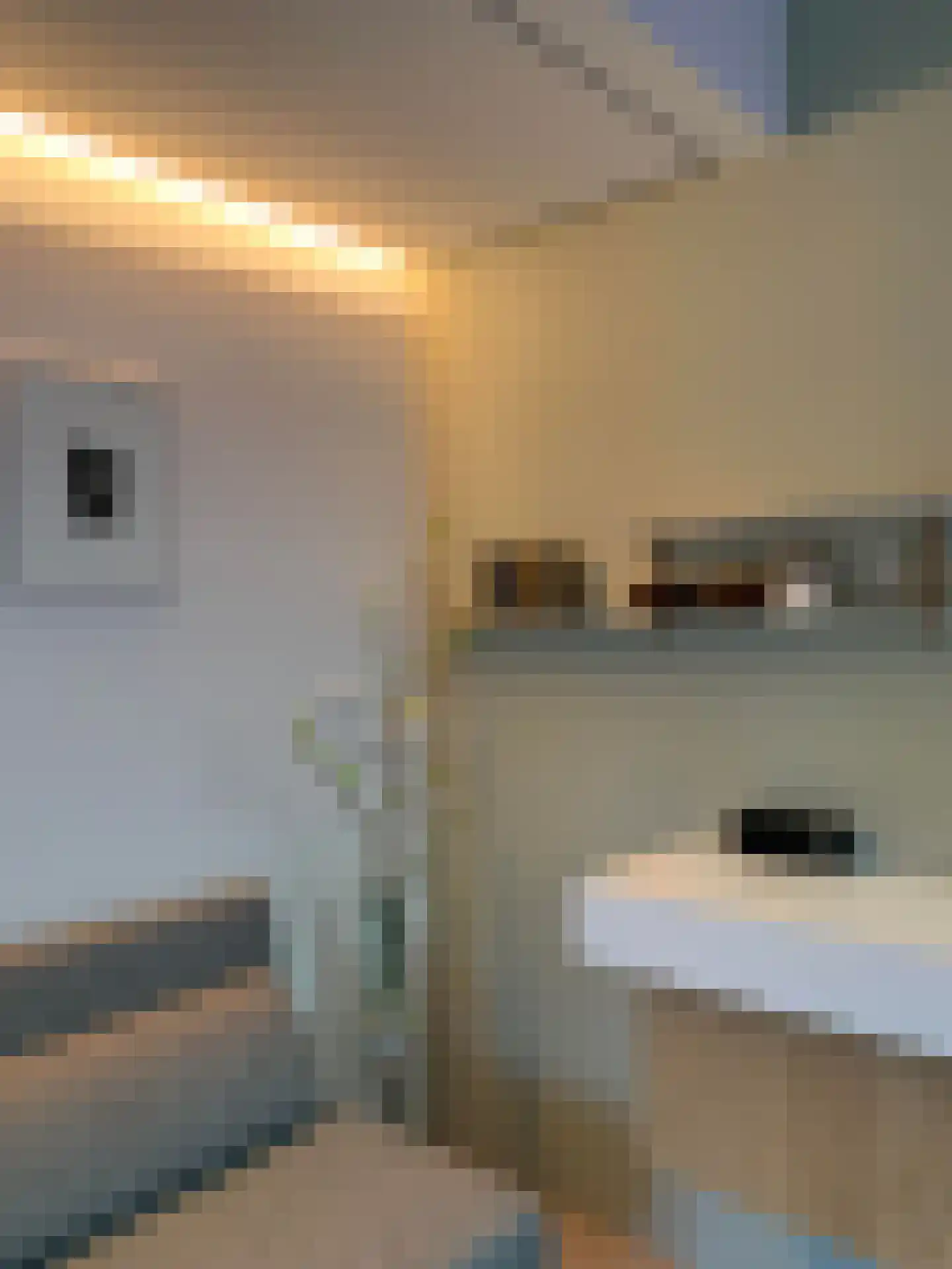 Emmalaan 37 Haarlem thumbnail 33