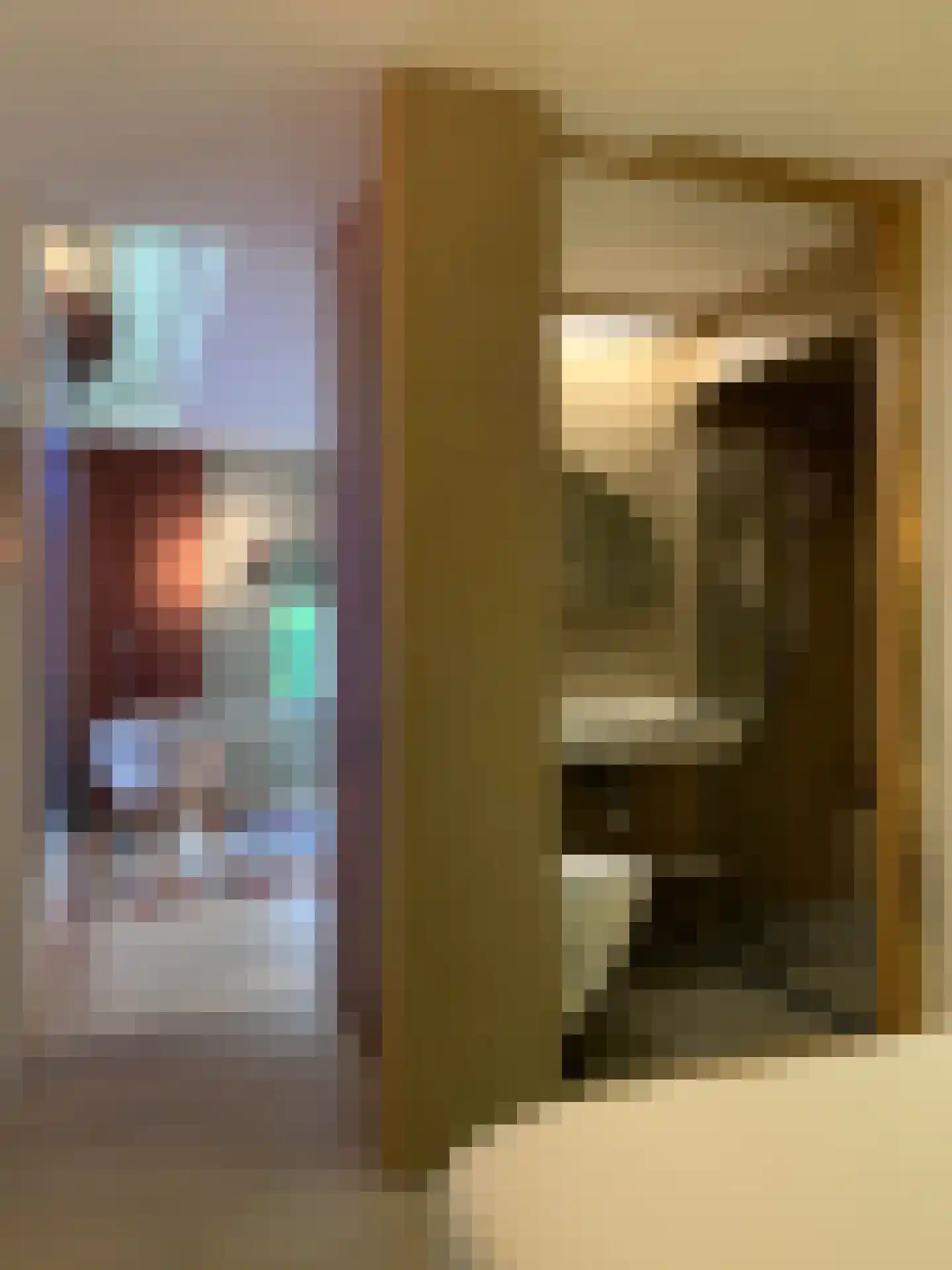 Emmalaan 37 Haarlem thumbnail 34