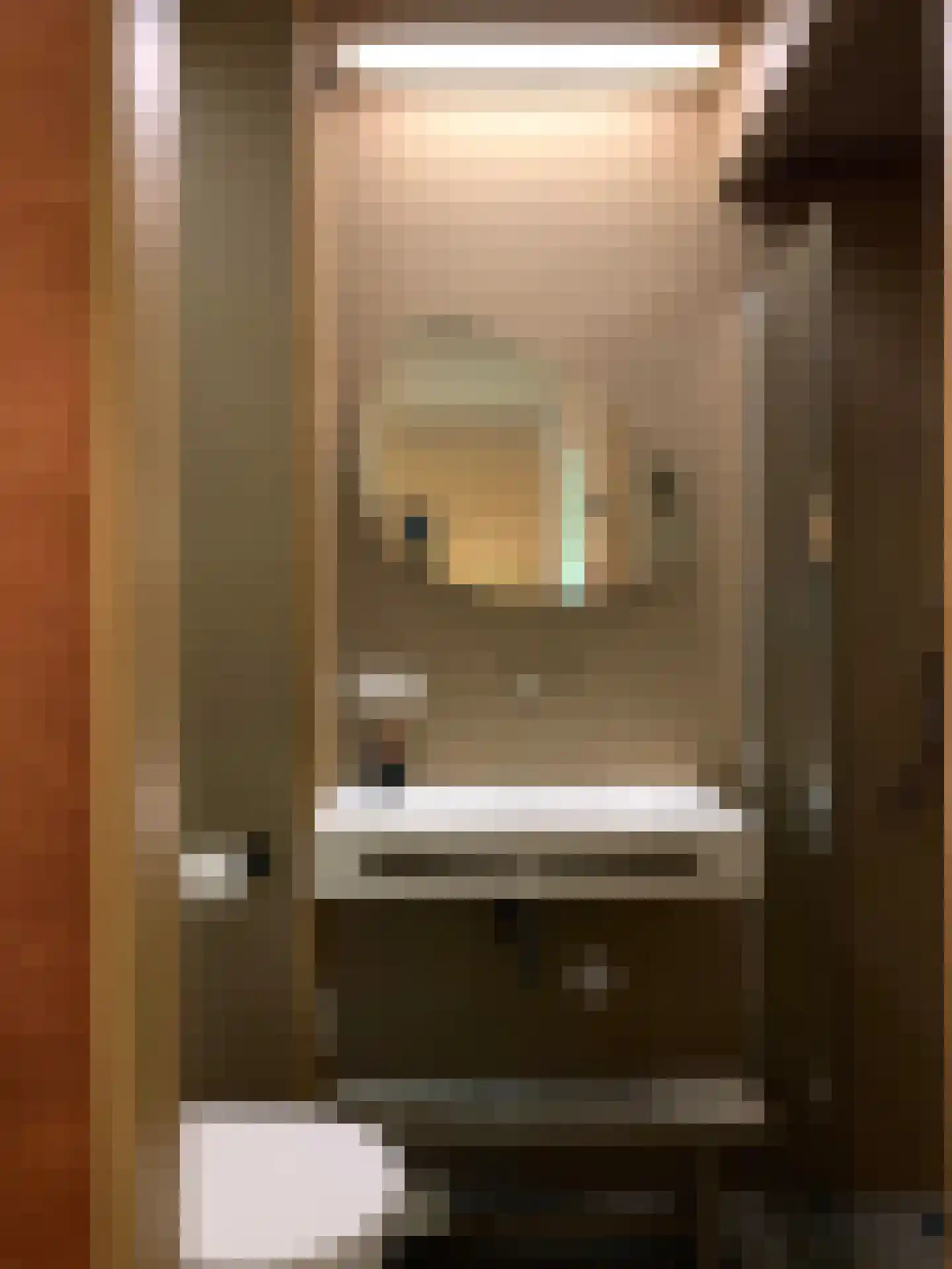 Emmalaan 37 Haarlem thumbnail 35