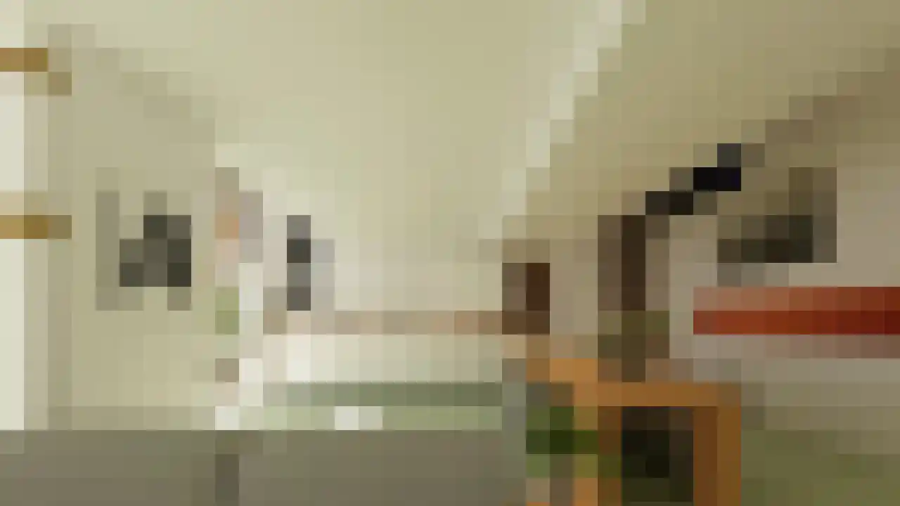 Emmalaan 37 Haarlem thumbnail 4