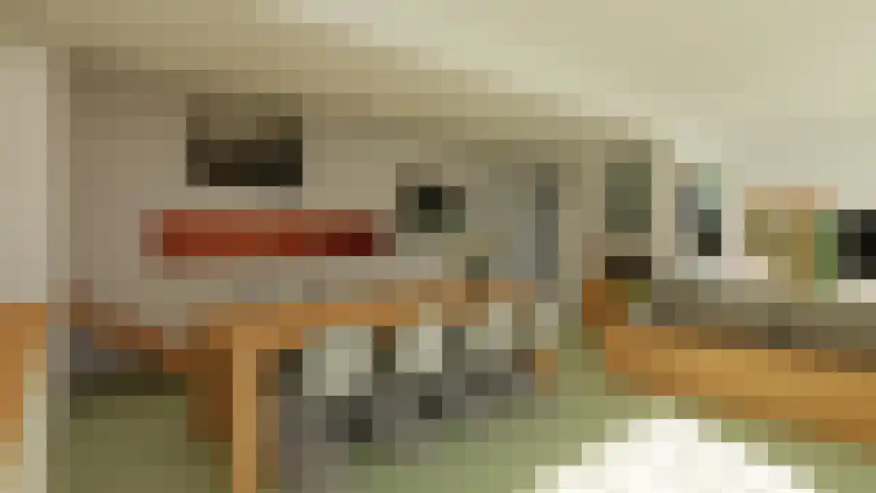 Emmalaan 37 Haarlem thumbnail 6
