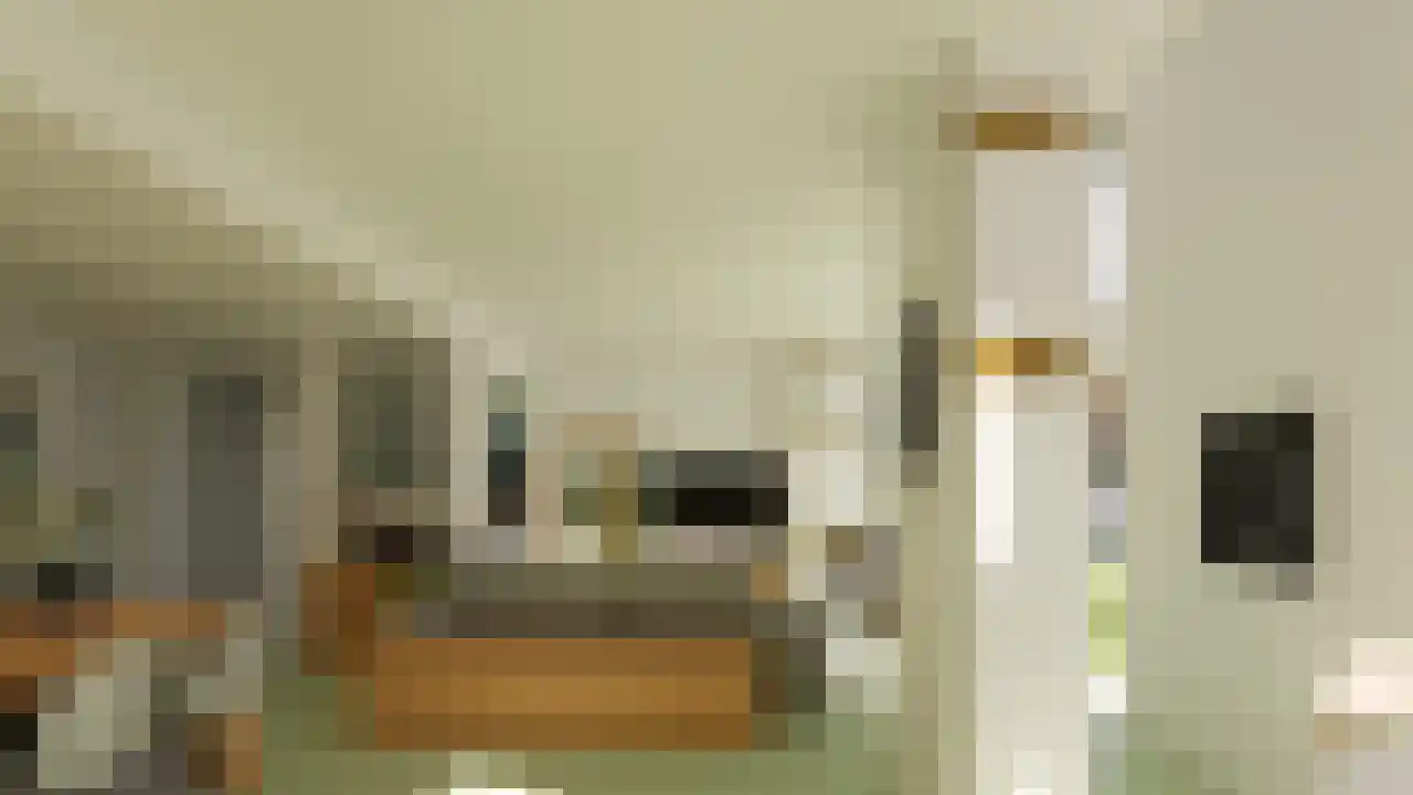 Emmalaan 37 Haarlem thumbnail 7