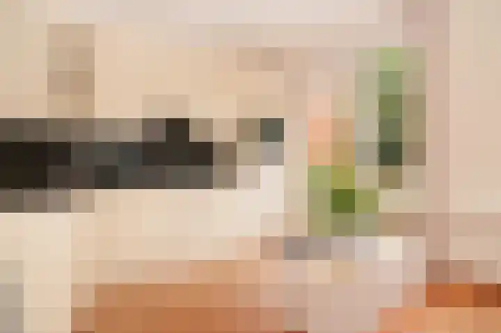 Emmalaan 39 Geldermalsen thumbnail 10