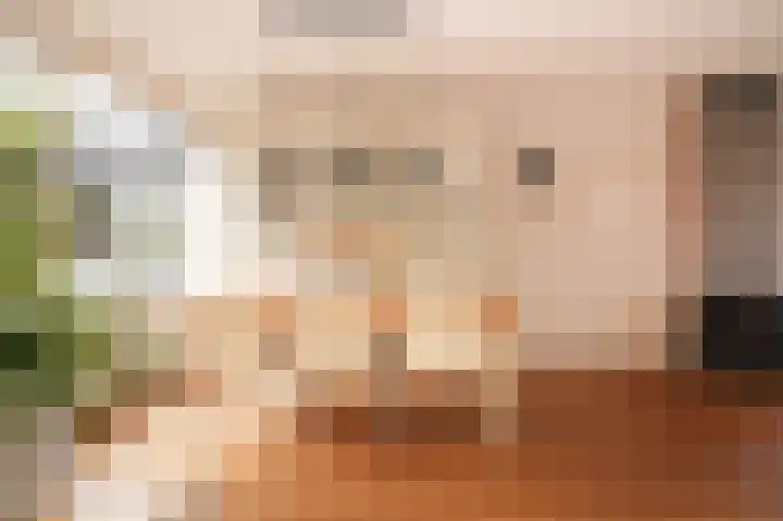 Emmalaan 39 Geldermalsen thumbnail 13