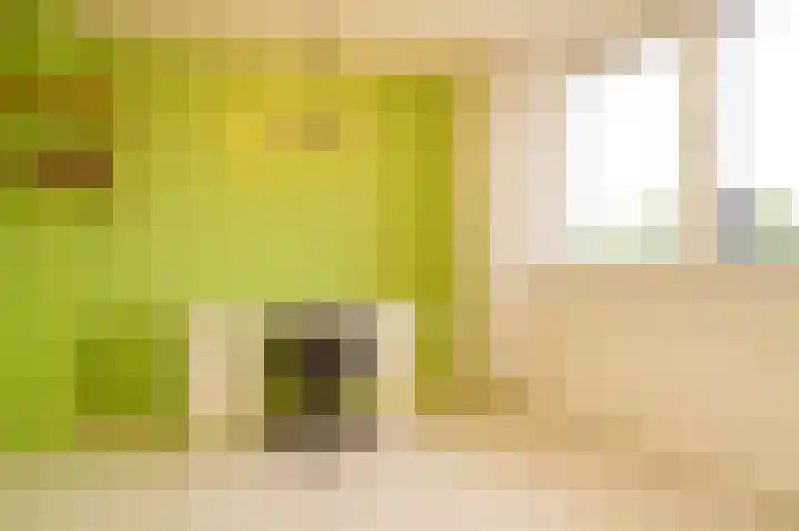 Emmalaan 39 Geldermalsen thumbnail 21