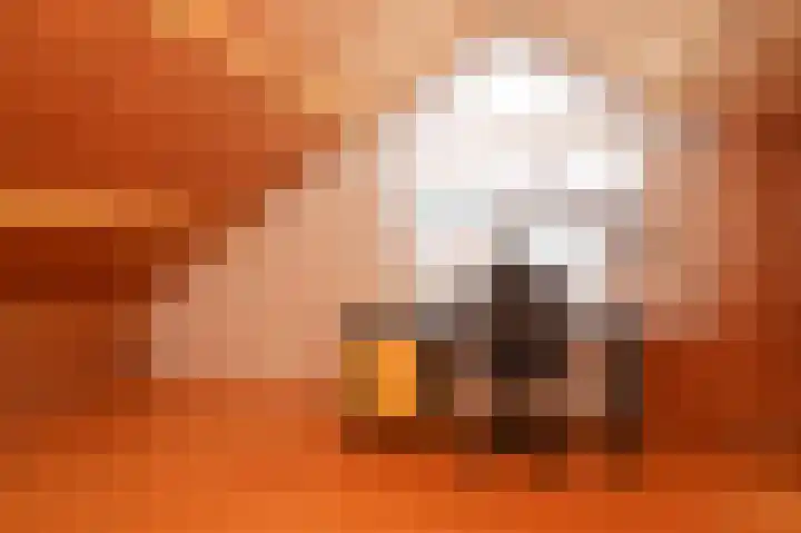 Emmalaan 39 Geldermalsen thumbnail 25