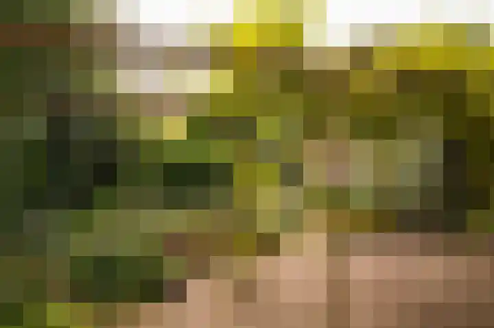 Emmalaan 39 Geldermalsen thumbnail 27