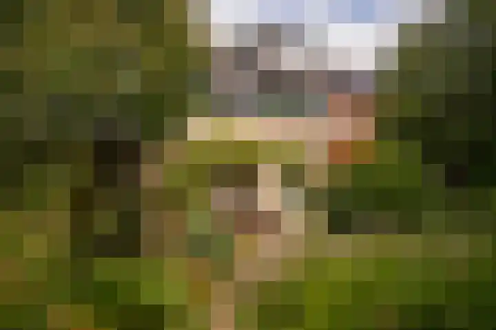 Emmalaan 39 Geldermalsen thumbnail 28