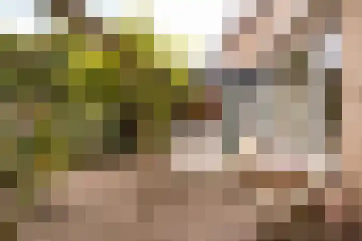 Emmalaan 39 Geldermalsen thumbnail 29