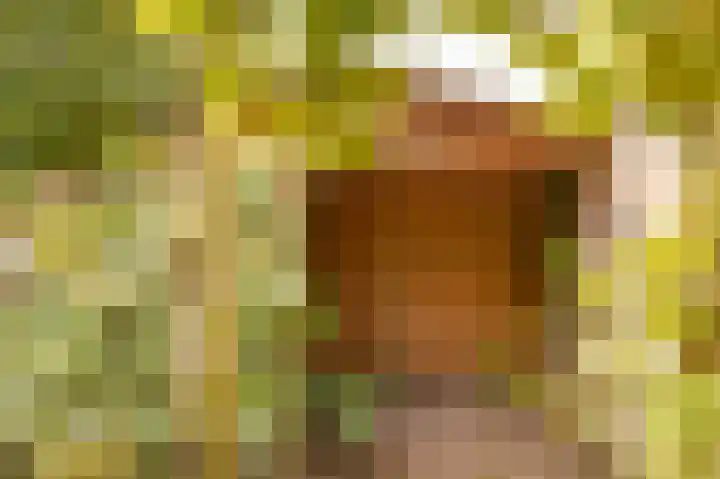 Emmalaan 39 Geldermalsen thumbnail 31