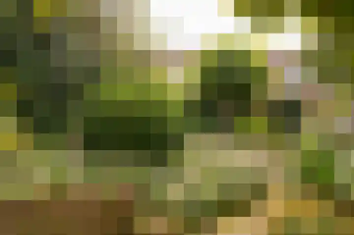 Emmalaan 39 Geldermalsen thumbnail 32
