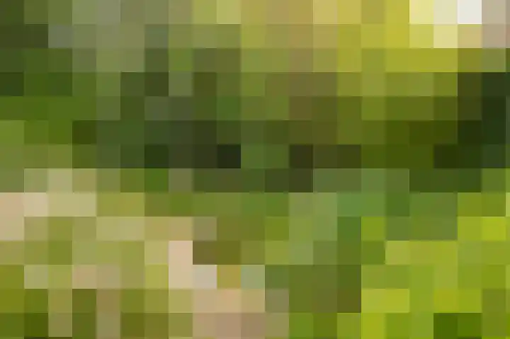 Emmalaan 39 Geldermalsen thumbnail 33