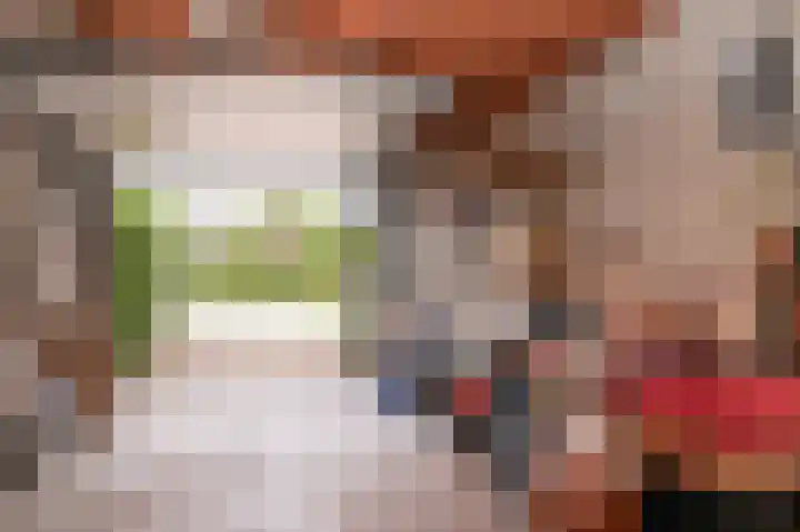 Emmalaan 39 Geldermalsen thumbnail 35