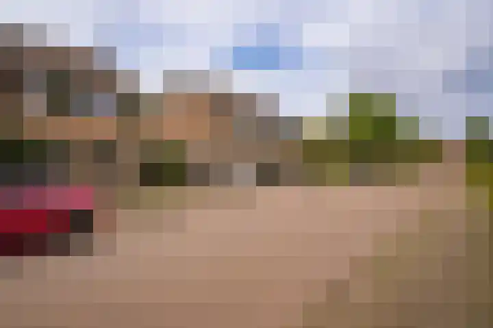 Emmalaan 39 Geldermalsen thumbnail 37