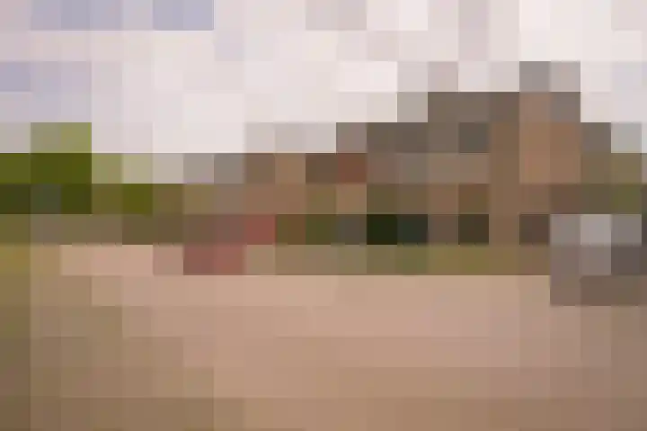 Emmalaan 39 Geldermalsen thumbnail 38