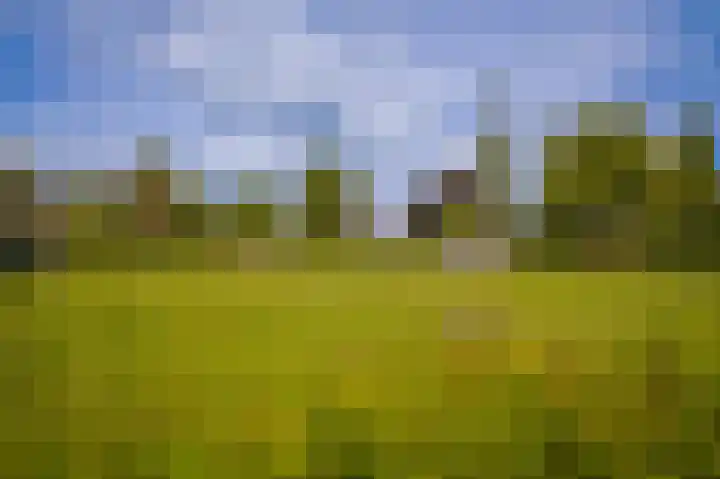 Emmalaan 39 Geldermalsen thumbnail 39