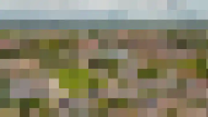 Emmalaan 39 Geldermalsen thumbnail 41