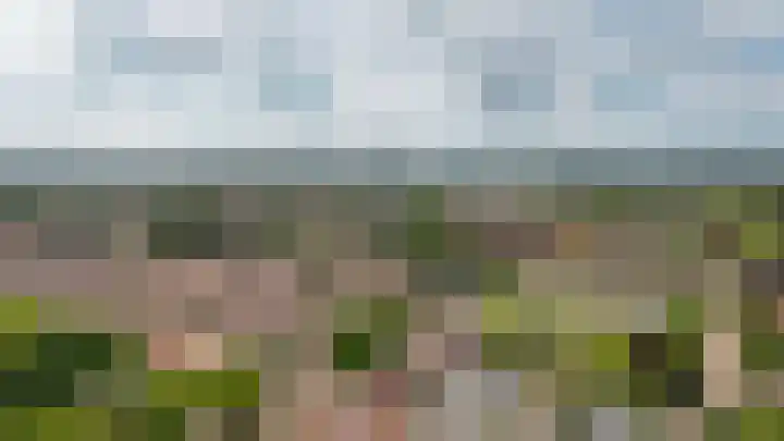 Emmalaan 39 Geldermalsen thumbnail 43