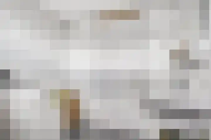 Emmalaan 39 Heerde thumbnail 16