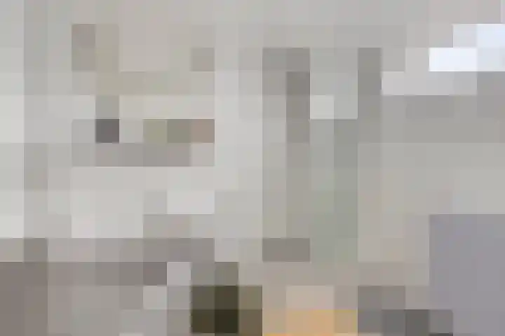 Emmalaan 39 Heerde thumbnail 17