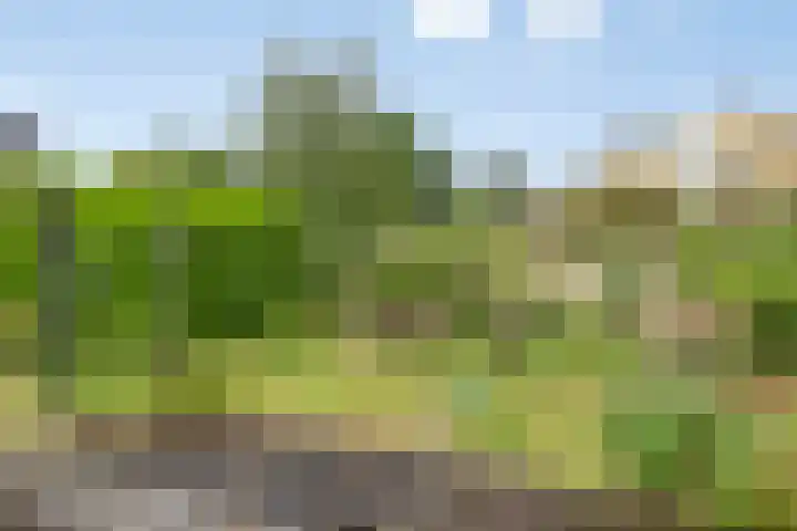 Emmalaan 39 Heerde thumbnail 21