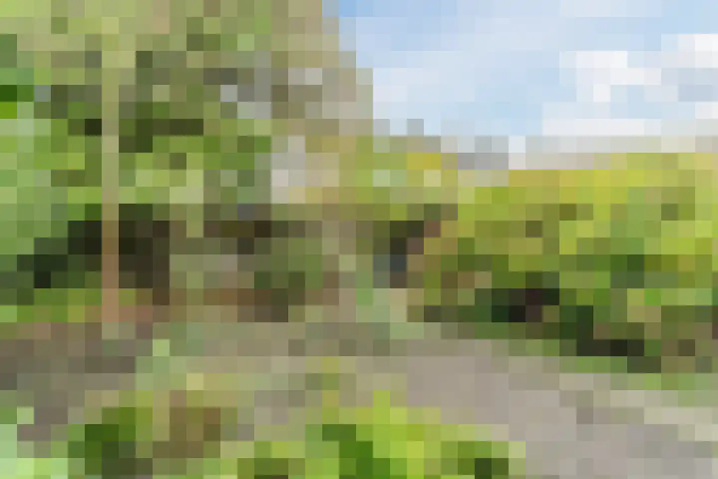 Emmalaan 39 Heerde thumbnail 23