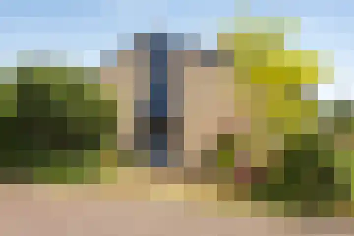 Emmalaan 39 Heerde thumbnail 26