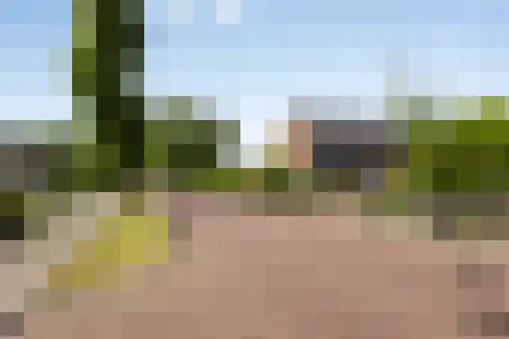 Emmalaan 39 Heerde thumbnail 30