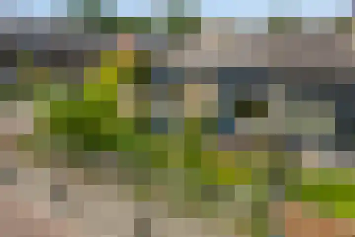 Emmalaan 39 Heerde thumbnail 31