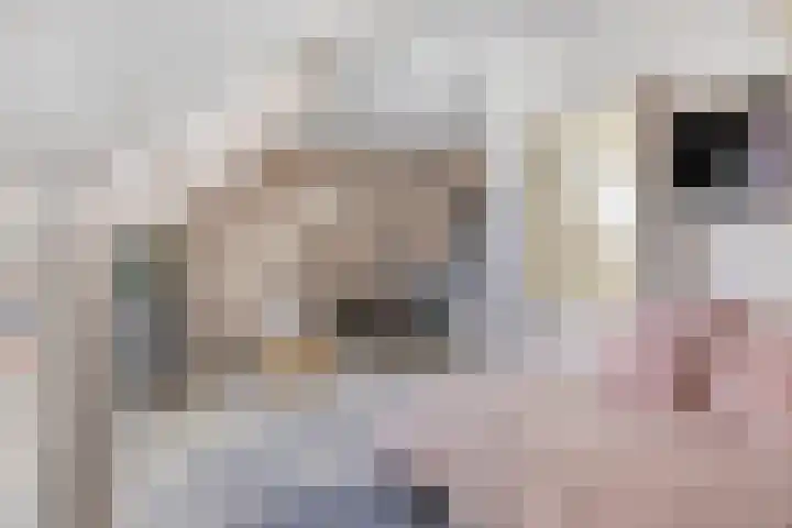 Emmalaan 39 Heerde thumbnail 7