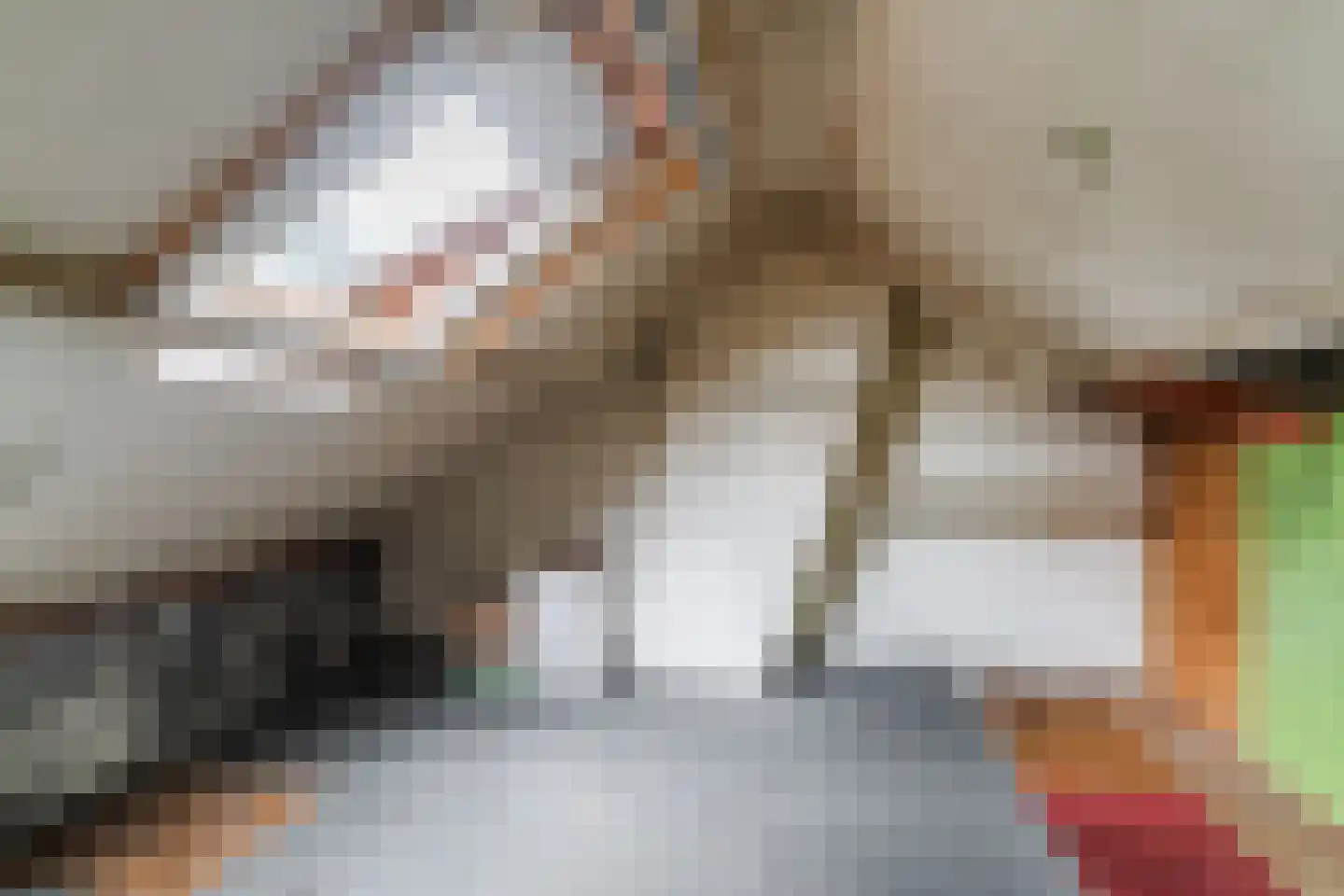 Emmalaan 39 Oss thumbnail 22