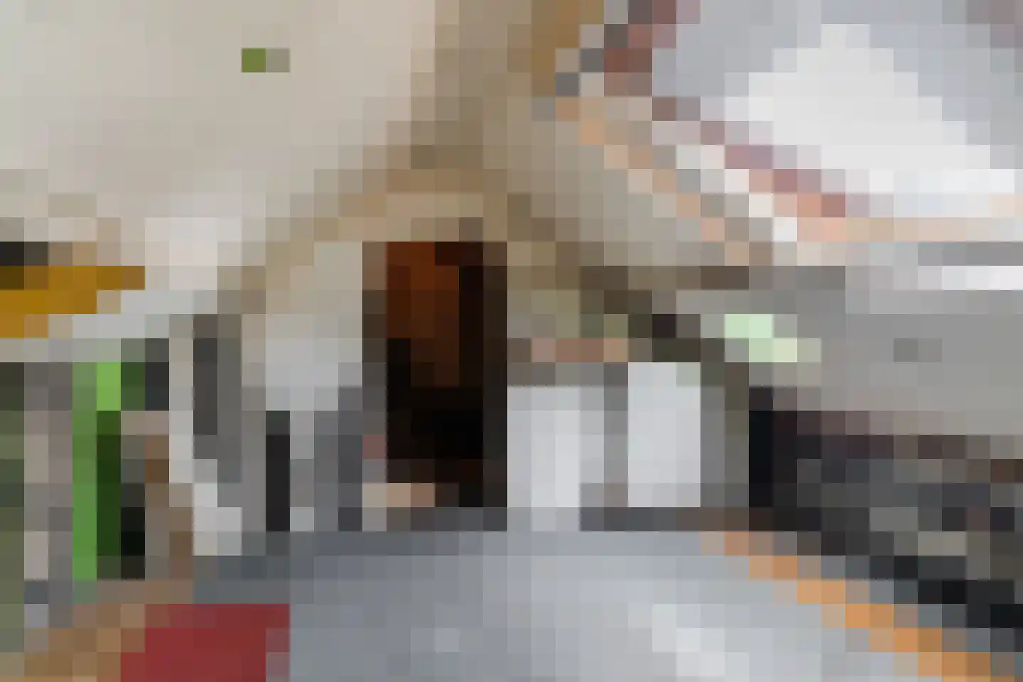 Emmalaan 39 Oss thumbnail 23