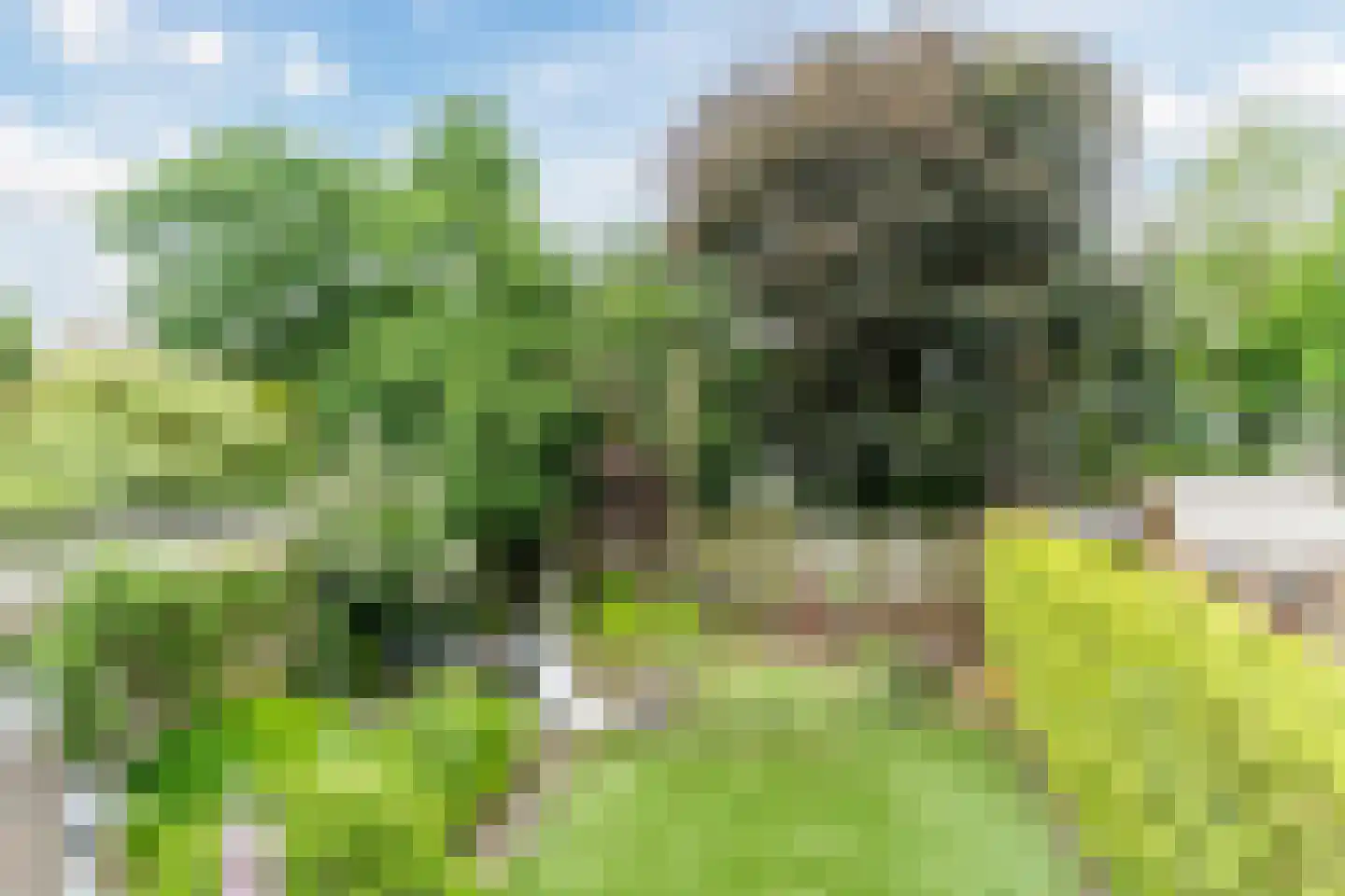 Emmalaan 39 Oss thumbnail 25