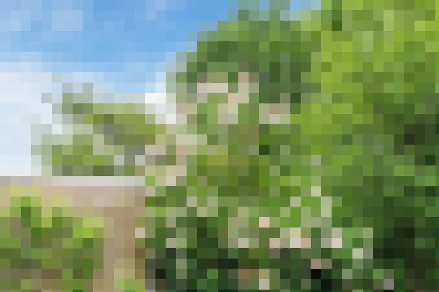 Emmalaan 39 Oss thumbnail 27